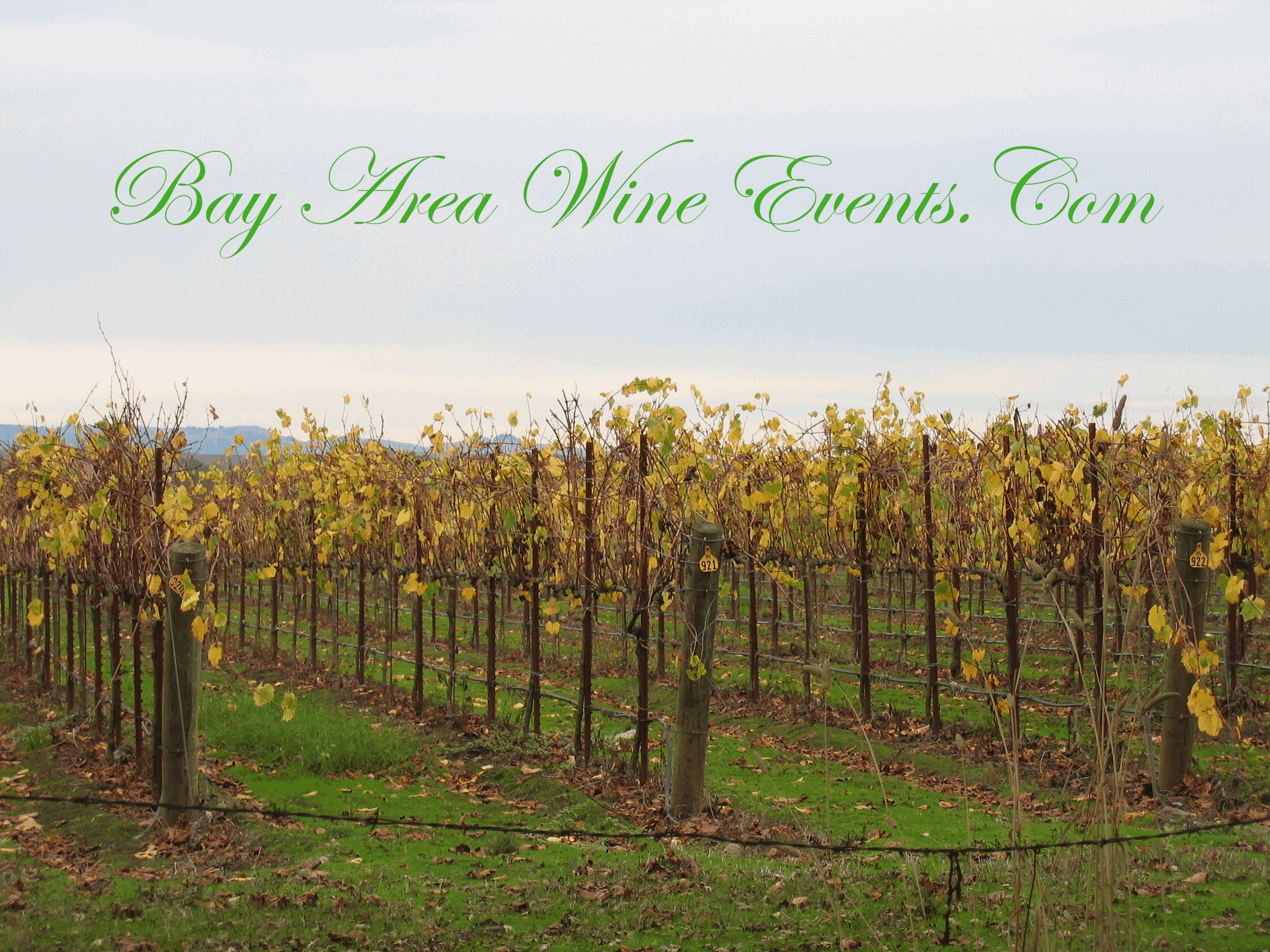 www.BayAreaWineEvents.com