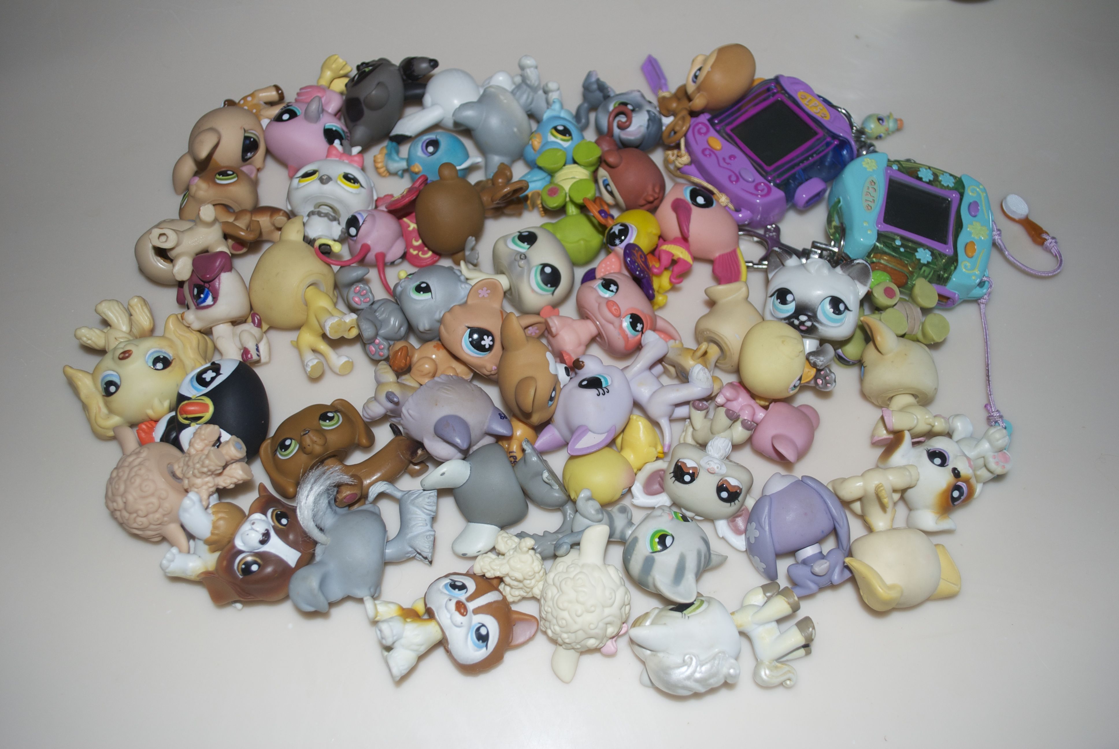 Littlest Pet Shop Game Cheats Wii Littlest Pet Shop Game Cheats Wii