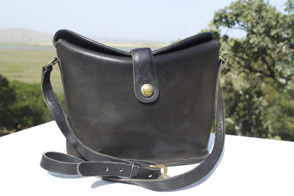 coach wallets cheddar